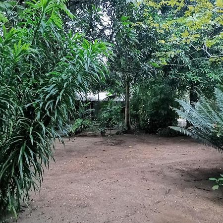 Sigiri Mango Garden Resort Sigiriya Exterior foto