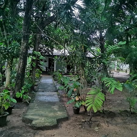 Sigiri Mango Garden Resort Sigiriya Exterior foto